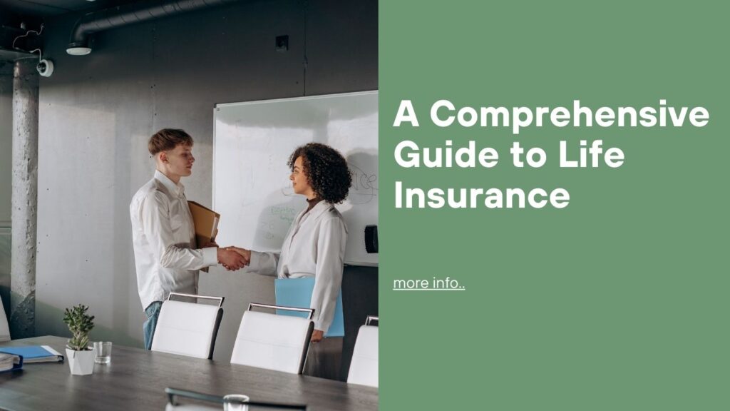 A Comprehensive Guide to Life Insurance