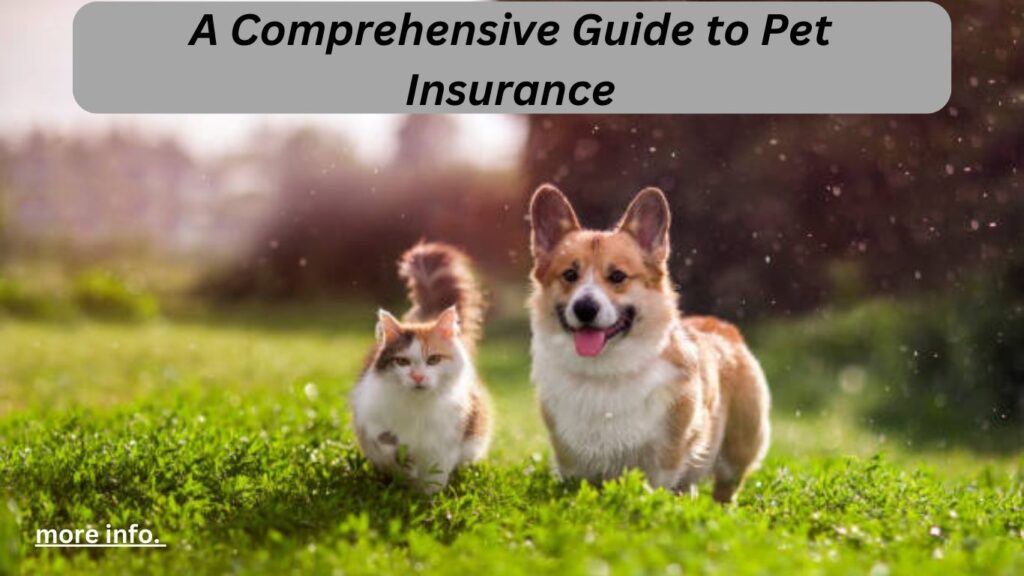 A Comprehensive Guide to Pet Insurance.