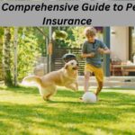 A Comprehensive Guide to Pet Insurance.