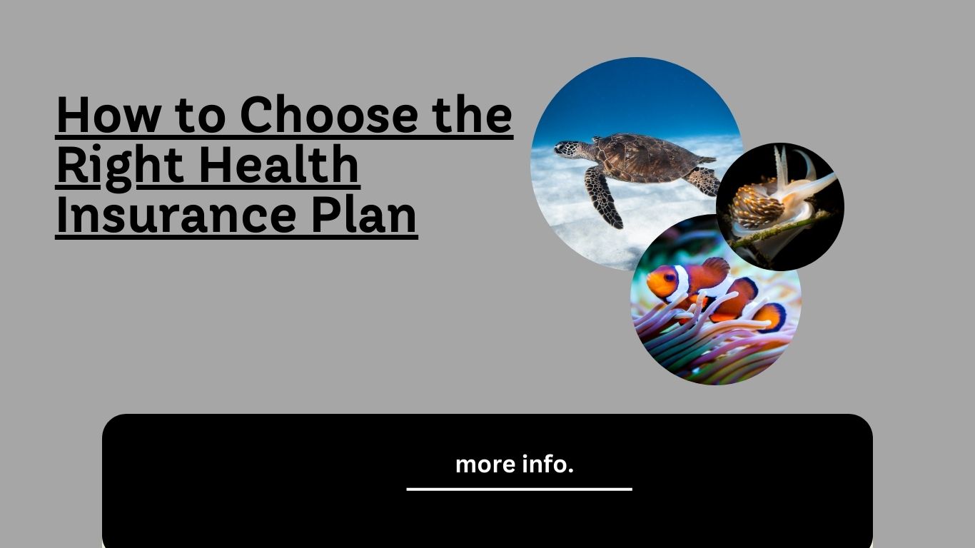 https://itcell.xyz/how-to-choose-the-right-health-insurance-plan/