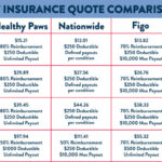 Comparing Different Pet Insurance Providers. As pet possession fills in prevalence around the world, so does the significance of guaranteeing