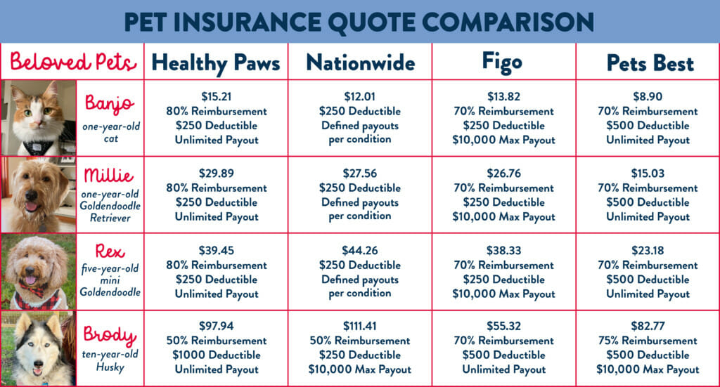 Comparing Different Pet Insurance Providers. As pet possession fills in prevalence around the world, so does the significance of guaranteeing